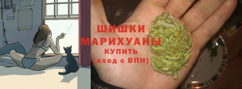 Канабис OG Kush  Жирновск 